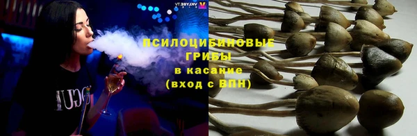 PSILOCYBIN Алексин