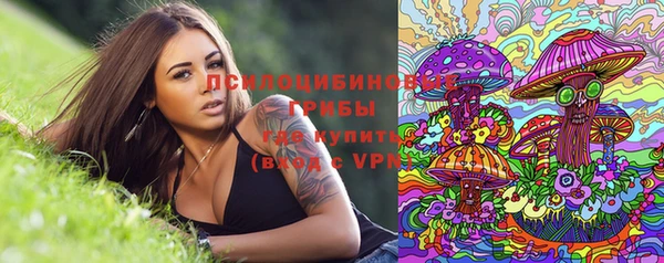 гидра Армянск