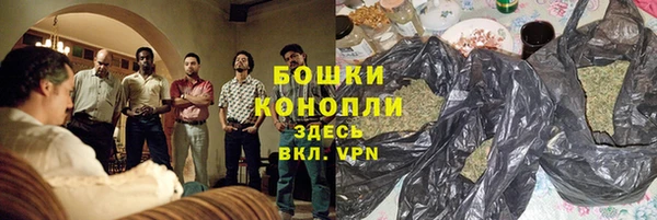 гидра Армянск