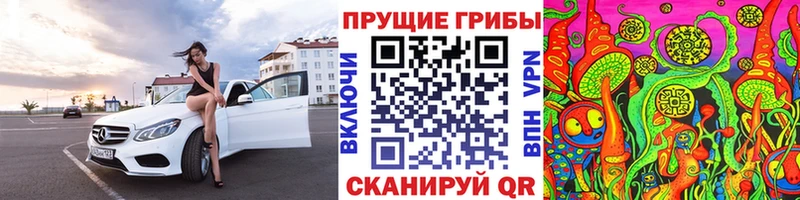 Псилоцибиновые грибы Cubensis  darknet клад  Избербаш 