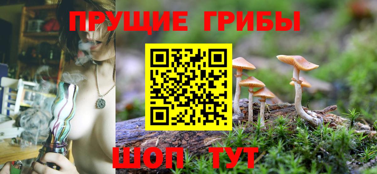 Псилоцибиновые грибы прущие грибы  Вход с VPN  Избербаш  Галлюциногенные грибы Psilocybe 